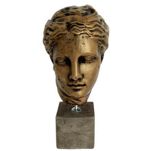 Load image into Gallery viewer, Hygieia Head - Goddess of Health Healing and Weelbeing - Daughter of God Apollo
