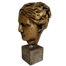 Load image into Gallery viewer, Hygieia Head - Goddess of Health Healing and Weelbeing - Daughter of God Apollo
