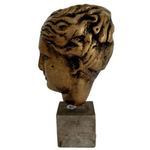 Load image into Gallery viewer, Hygieia Head - Goddess of Health Healing and Weelbeing - Daughter of God Apollo
