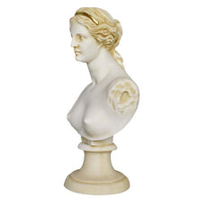 Load image into Gallery viewer, Aphrodite Alabaster aged bust Goddess Of Love Beauty Fertility Procreation Venus
