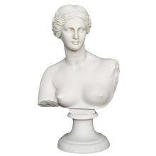 Load image into Gallery viewer, Aphrodite Alabaster bust - Goddess Of Love Beauty Fertility Procreation Venus
