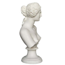 Load image into Gallery viewer, Aphrodite Alabaster bust - Goddess Of Love Beauty Fertility Procreation Venus
