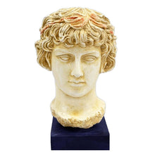 Load image into Gallery viewer, Antinous Bust - Antinoos - Ancient Greece Rome - Emperor Hadrian favorite
