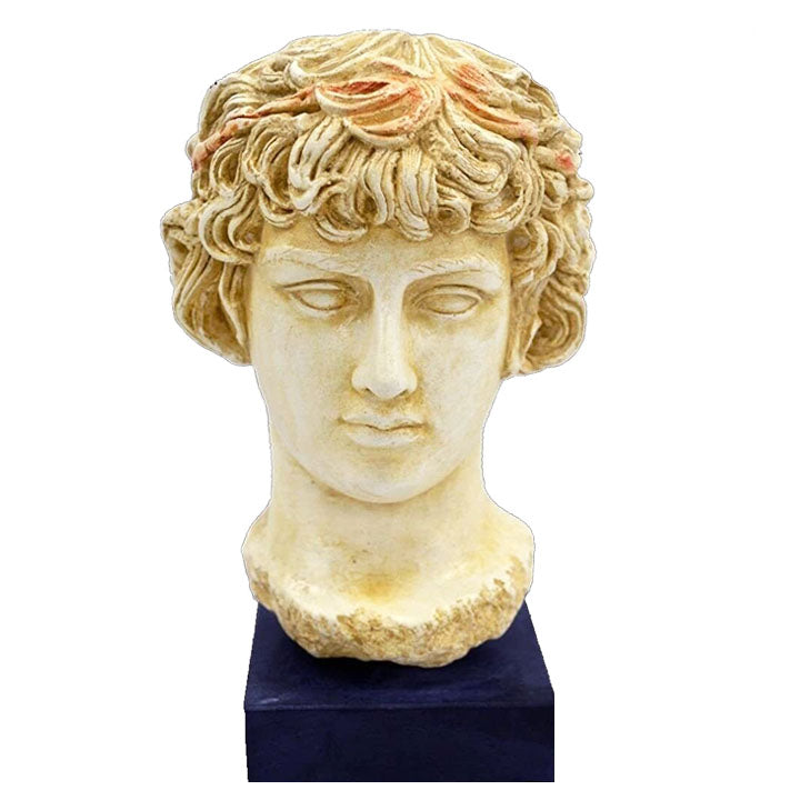 Antinous Bust - Antinoos - Ancient Greece Rome - Emperor Hadrian favorite