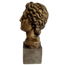 Load image into Gallery viewer, Alexander the Great Macedonian bust statue - Son of Phillip II
