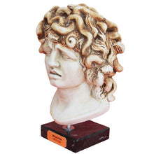 Load image into Gallery viewer, Medusa small head bust on marble base - Medousa - Snake Lady - Serpent Monster
