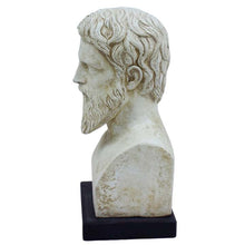 Load image into Gallery viewer, Plato bust - Greek Philosopher - Student of Socrates - Teacher of Aristotle
