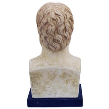 Load image into Gallery viewer, Plato bust - Greek Philosopher - Student of Socrates - Teacher of Aristotle
