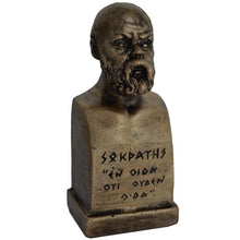 Load image into Gallery viewer, Socrates bust bronze color effect Western Philosophy - Plato Aristotle Students
