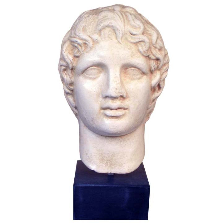 Alexander the Great Macedonian Head - King Of Vergina