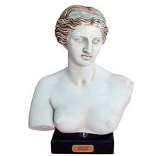 Load image into Gallery viewer, Aphrodite bust sculpture - Goddess of Love Beauty Fertility - Venus
