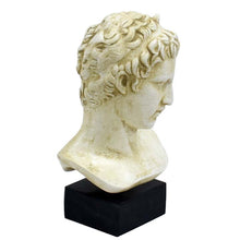 Load image into Gallery viewer, Ephebe of Marathon bust statue - Youth boy sculpture - Museum reproduction
