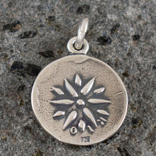 Load image into Gallery viewer, Apollo Silver Coin Pendant - Vergina Star - God of Light Healing Music Poetry
