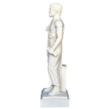 Load image into Gallery viewer, Aristotle Statue - Student of Plato - Father of Western Philosophy
